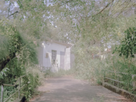 Yshao Lin 林意逍